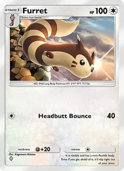 Furret
