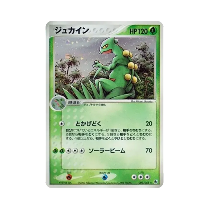 蜥蜴王