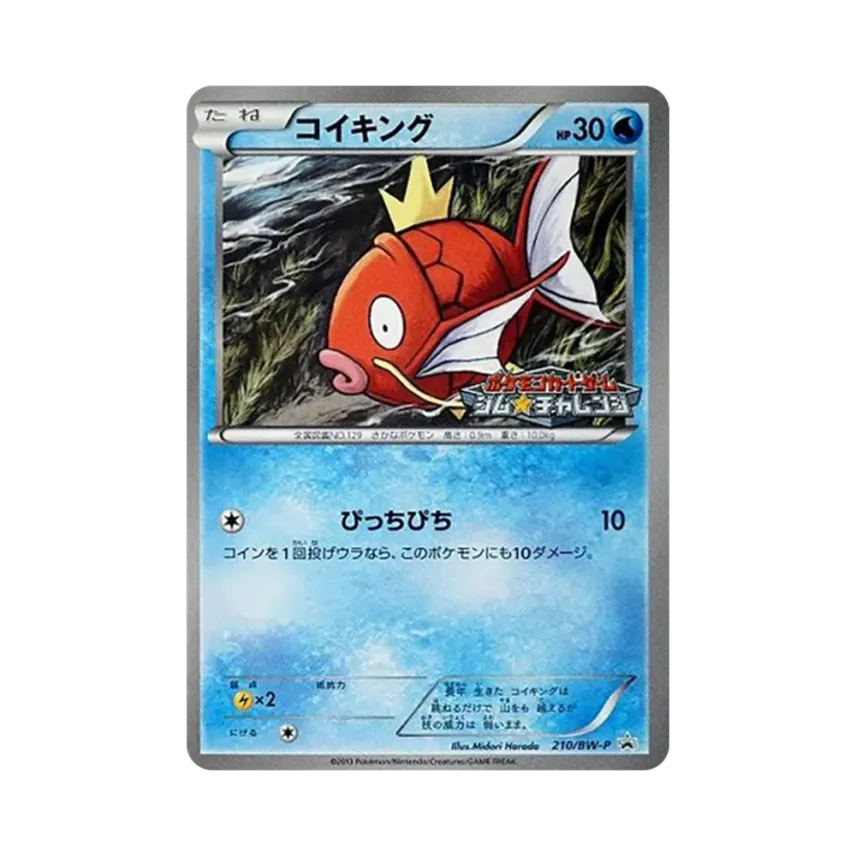 鯉魚王