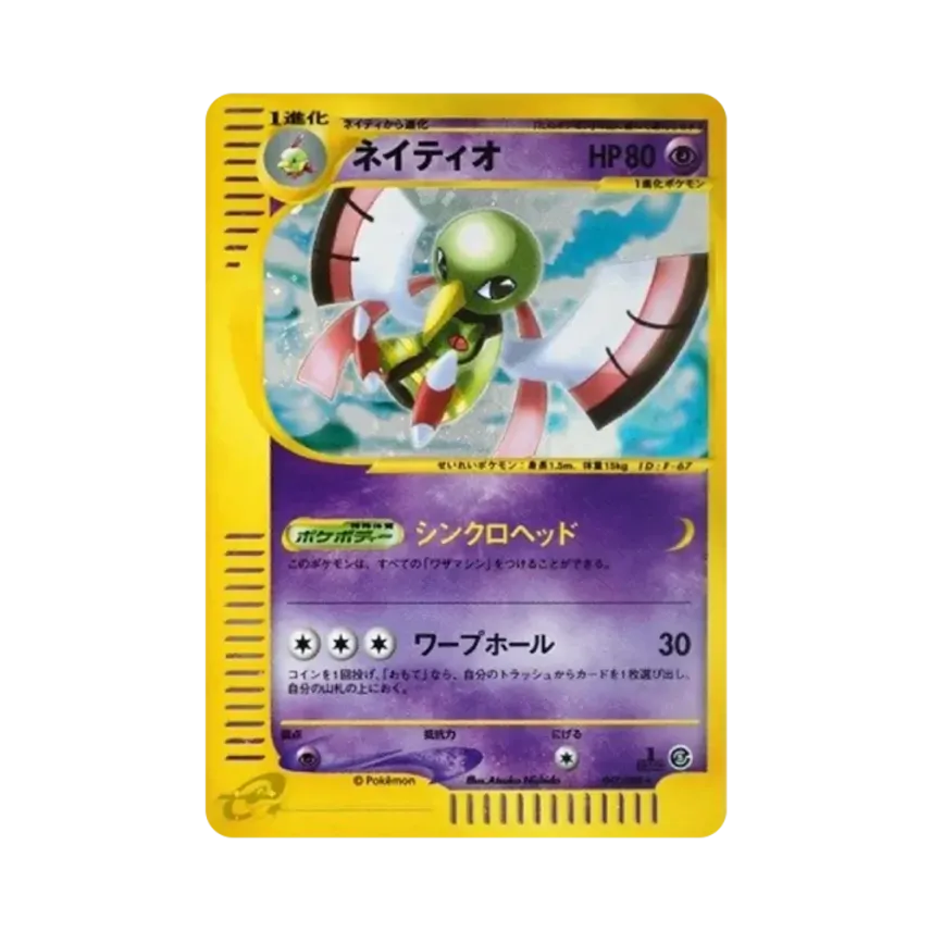 天然鳥