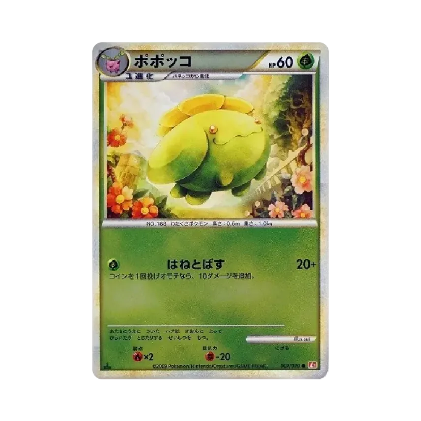 毽子花