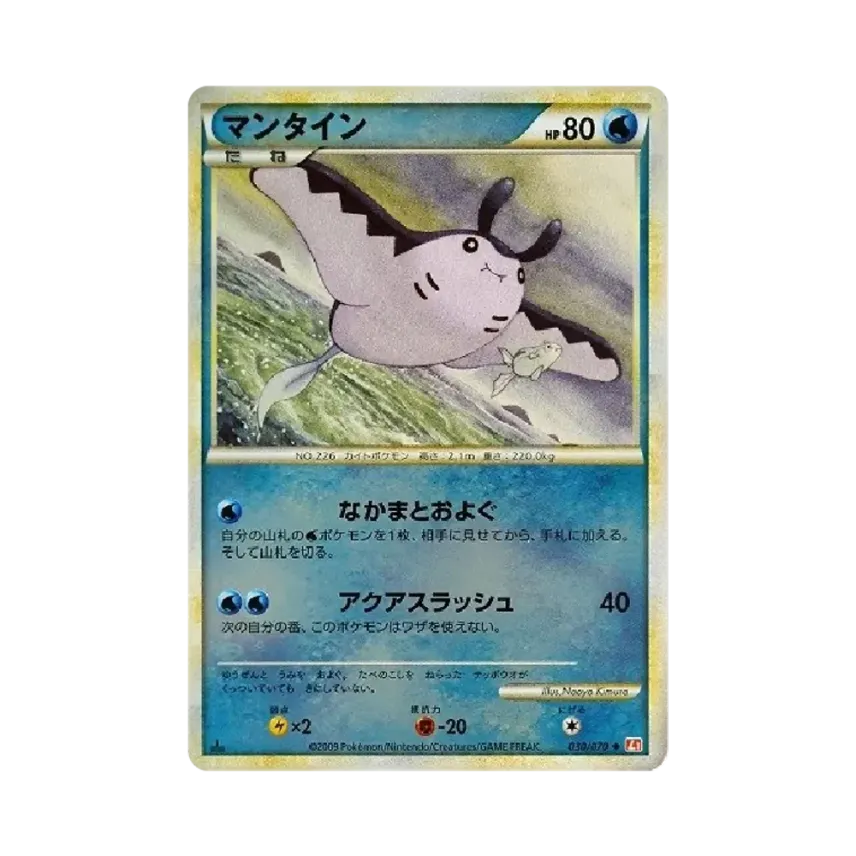 巨翅飛魚