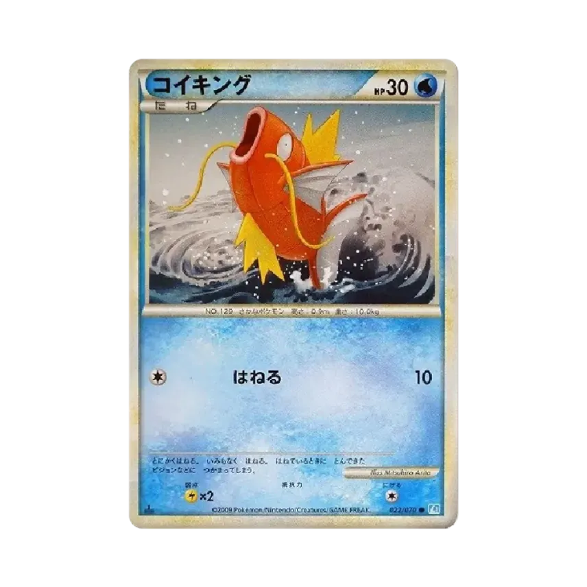 鯉魚王