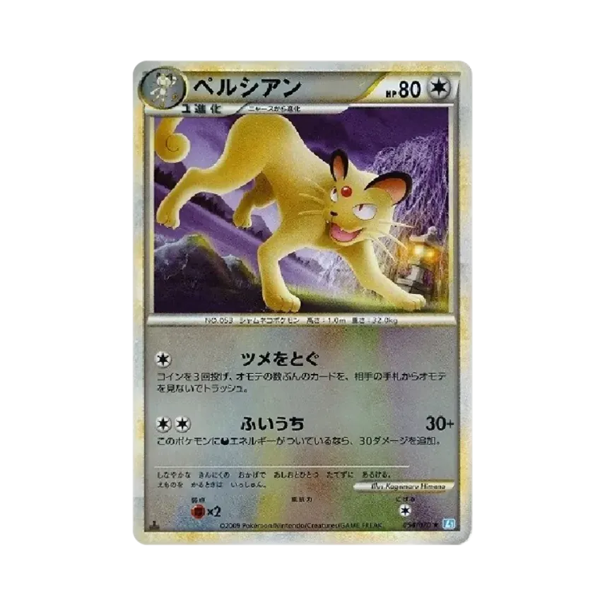 高竇貓
