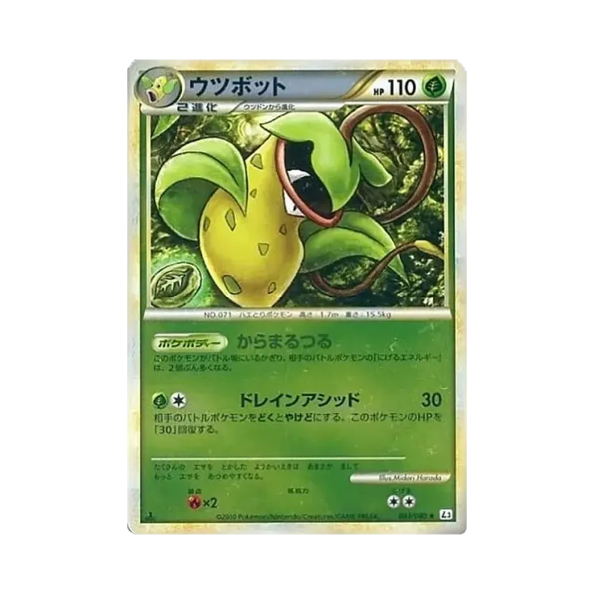 大食花