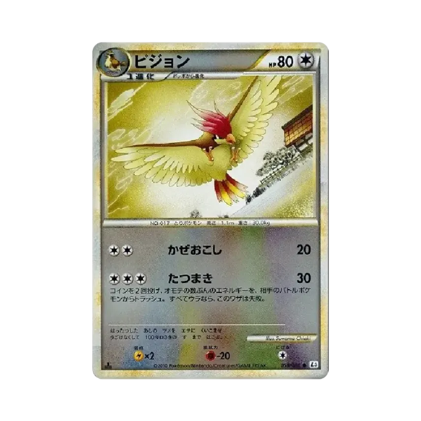 比比鳥