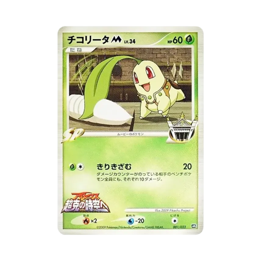 菊草葉M