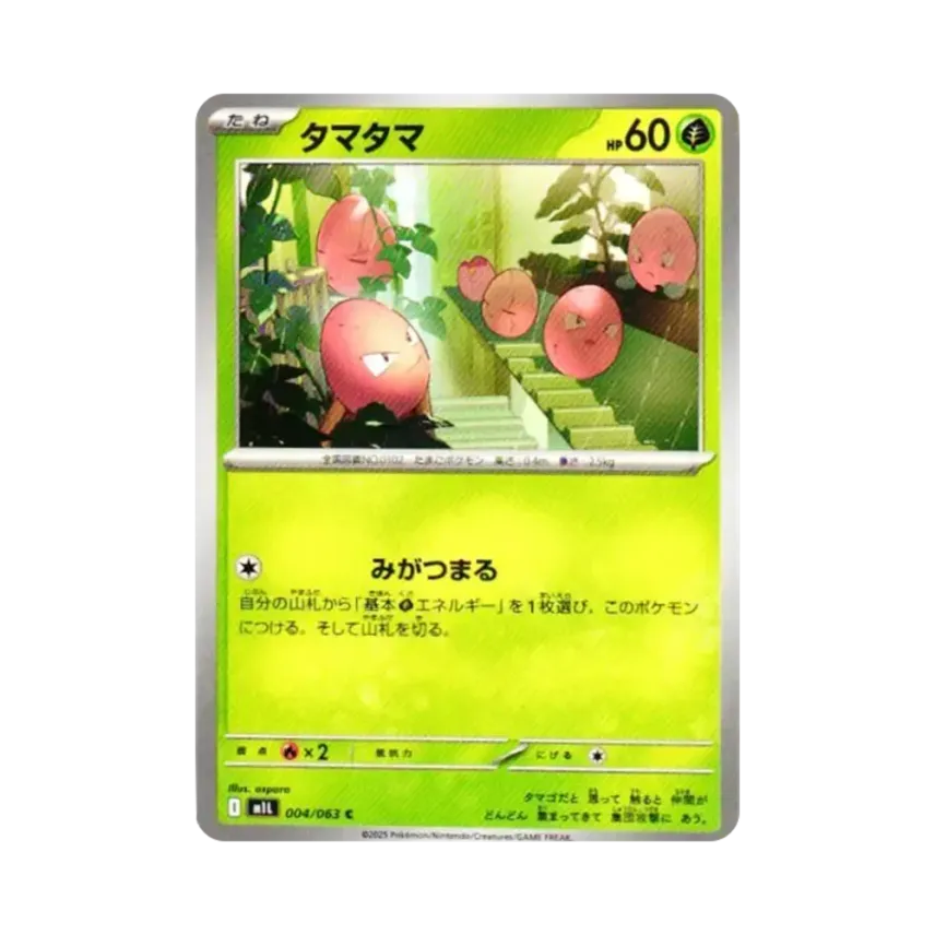 蛋蛋