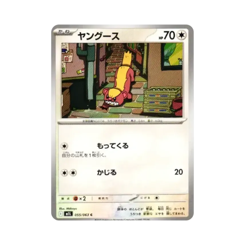 貓鼬少
