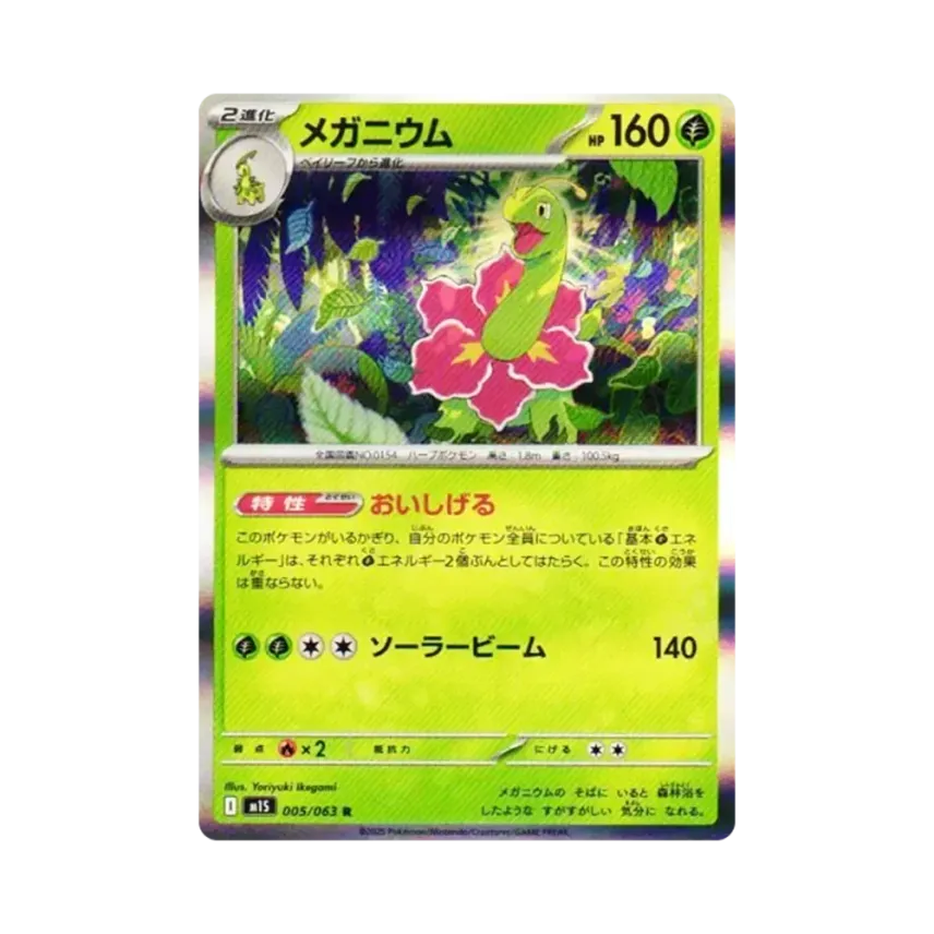 大菊花