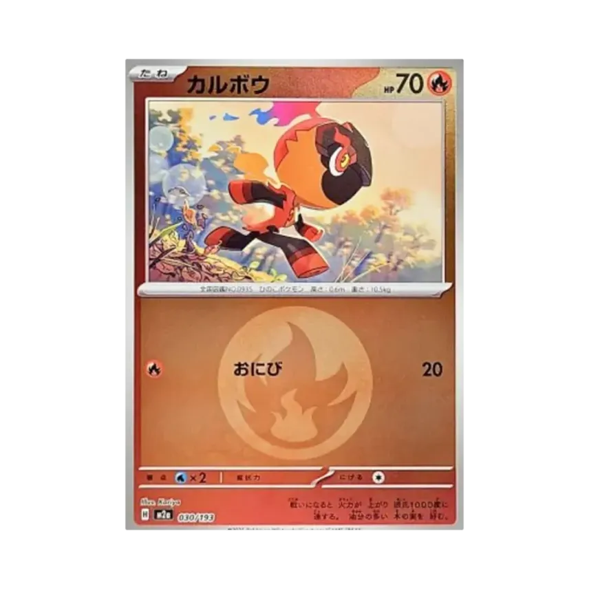 炭小侍
