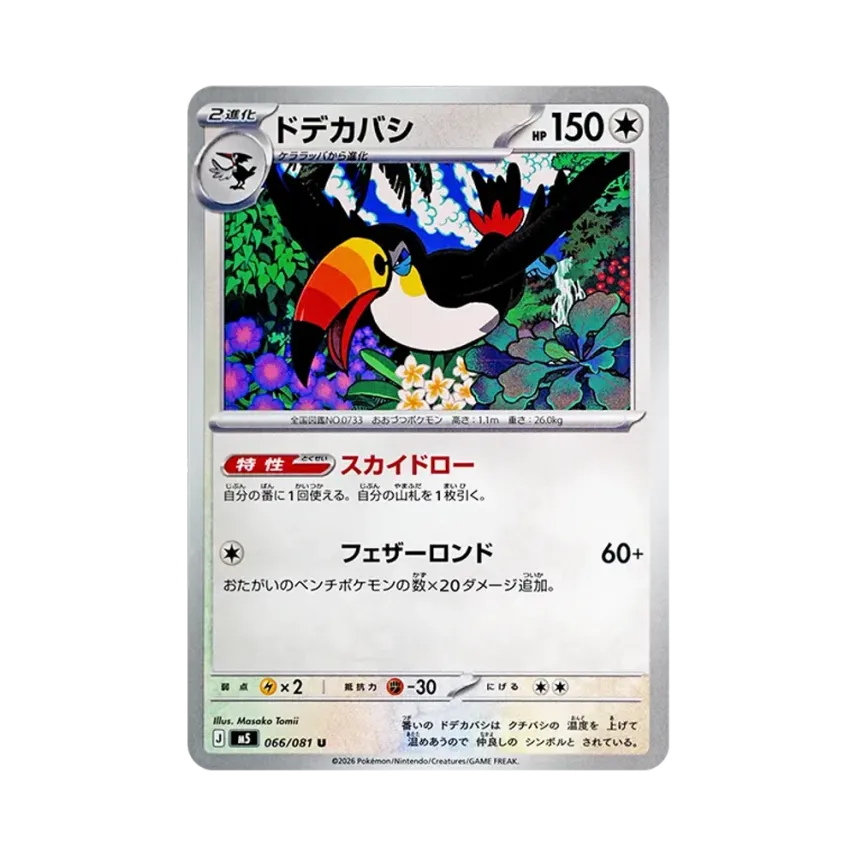 銃嘴大鳥