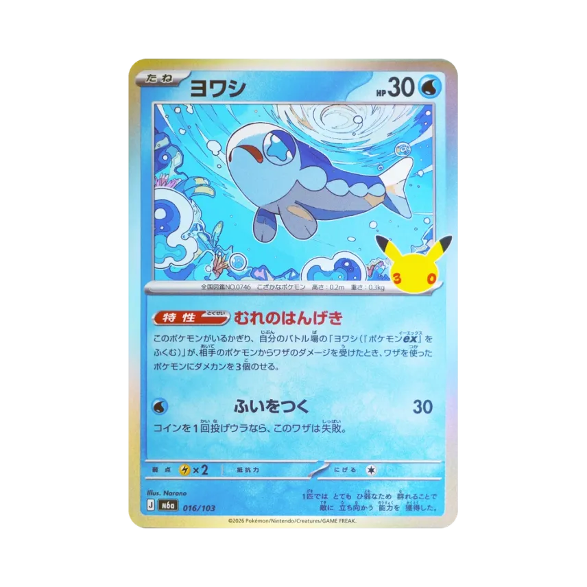 弱丁魚