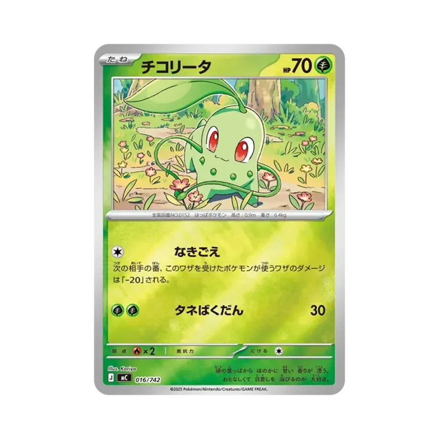 菊草葉