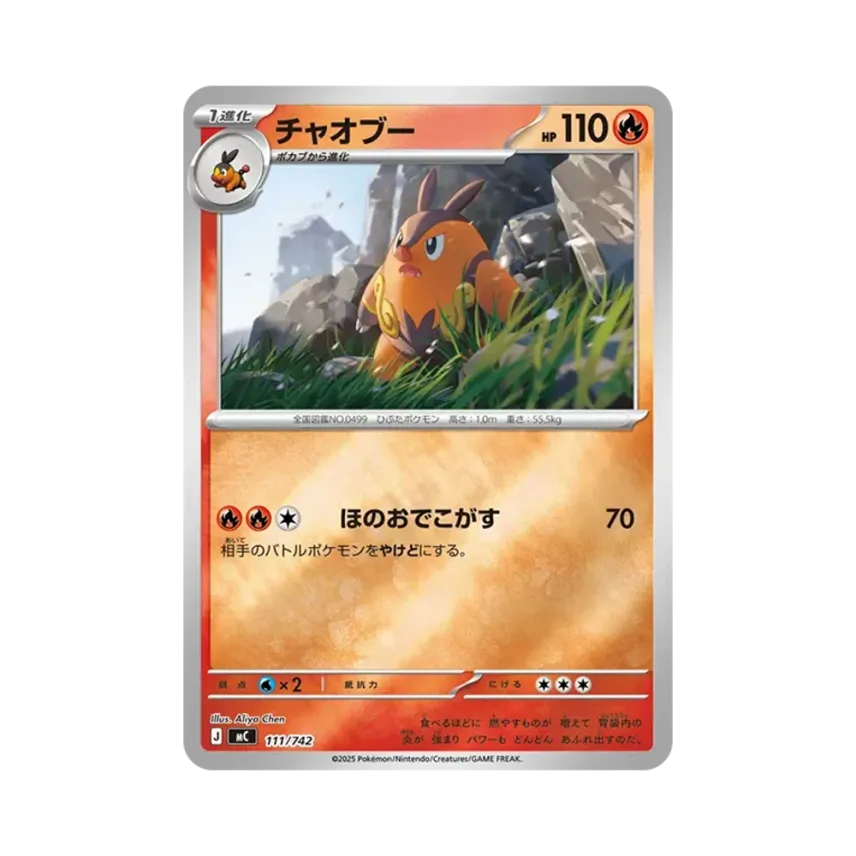炒炒豬