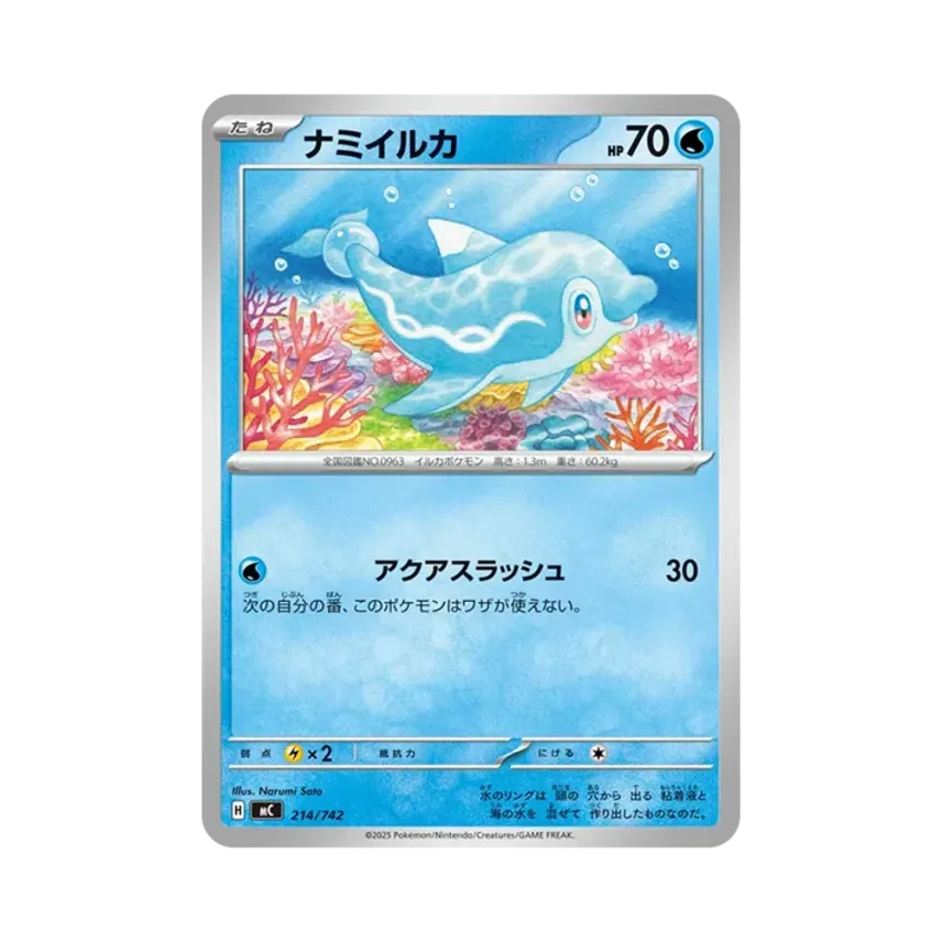 波普海豚