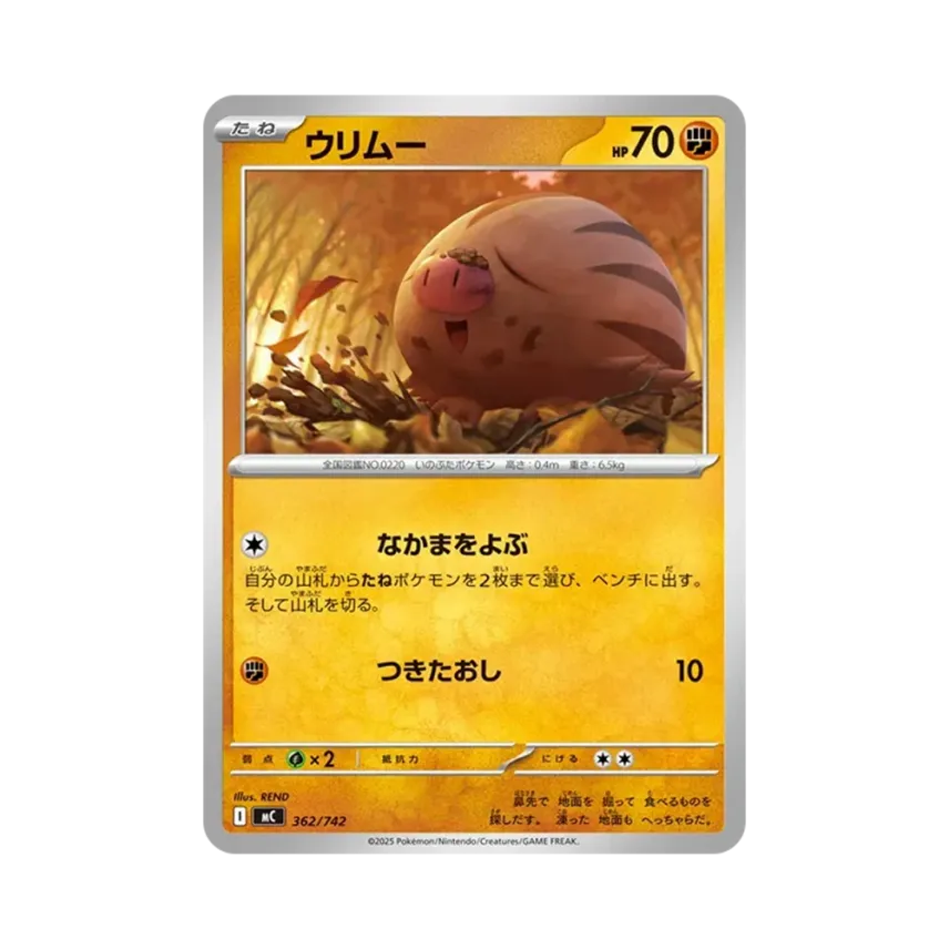 小山豬