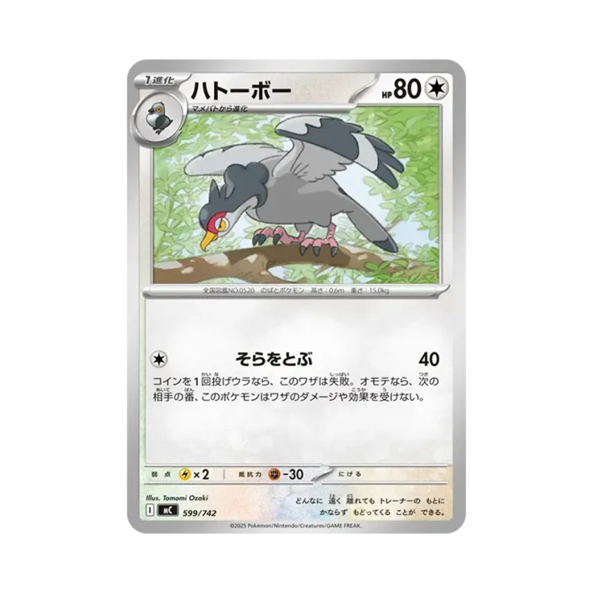 波波鴿