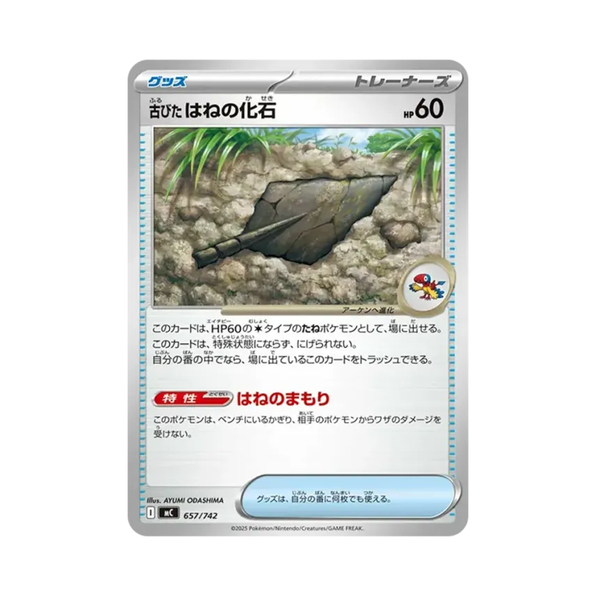 古びたはねの化石