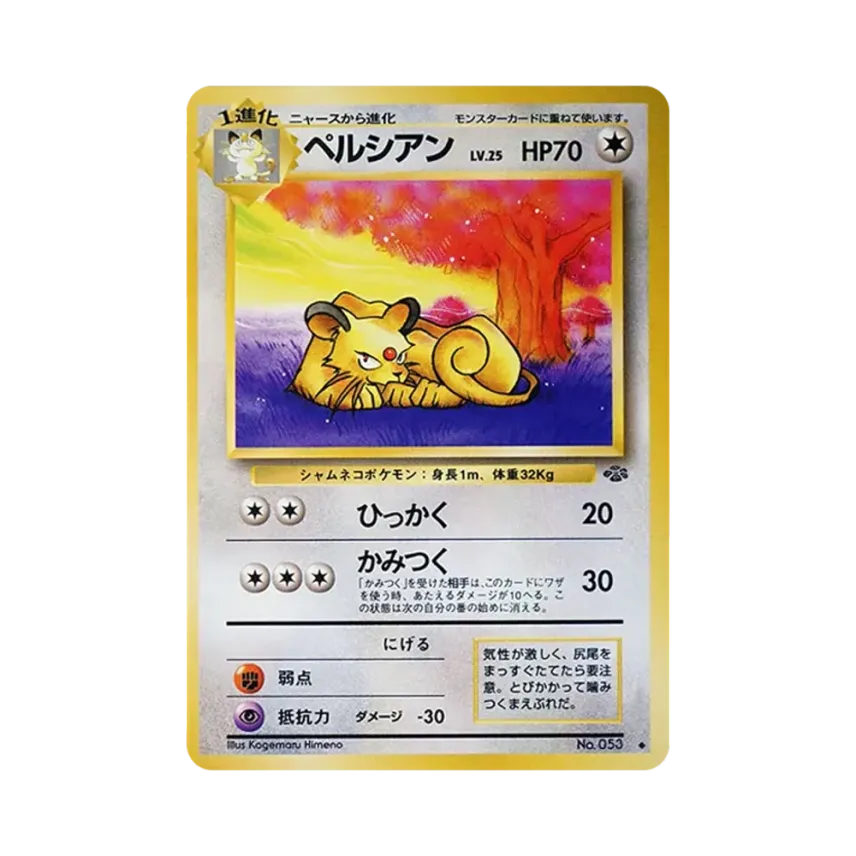 高竇貓