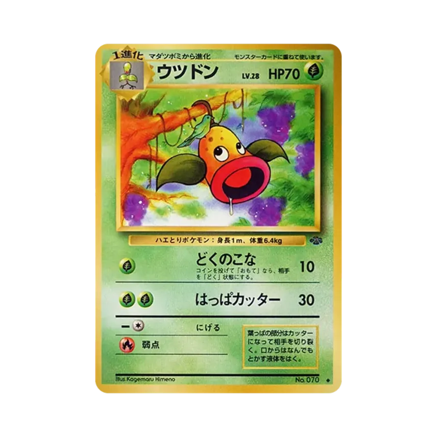 口呆花