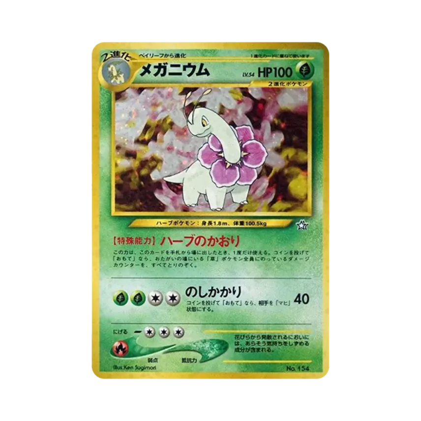 大菊花