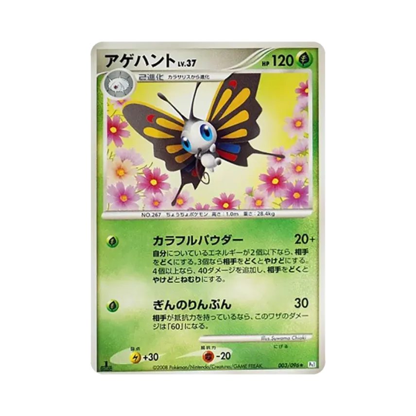 狩獵鳳蝶