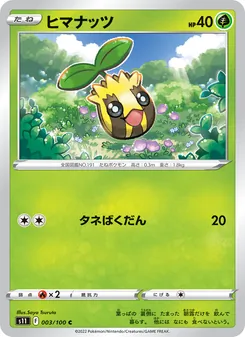 向日種子