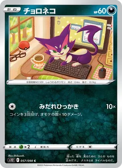 扒手貓