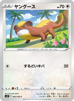 貓鼬少