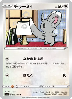 泡沫栗鼠