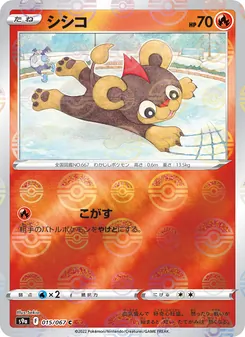 小獅獅