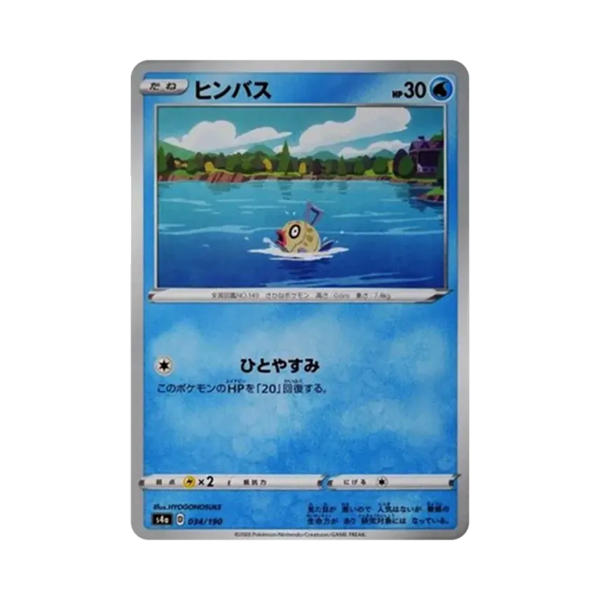 笨笨魚