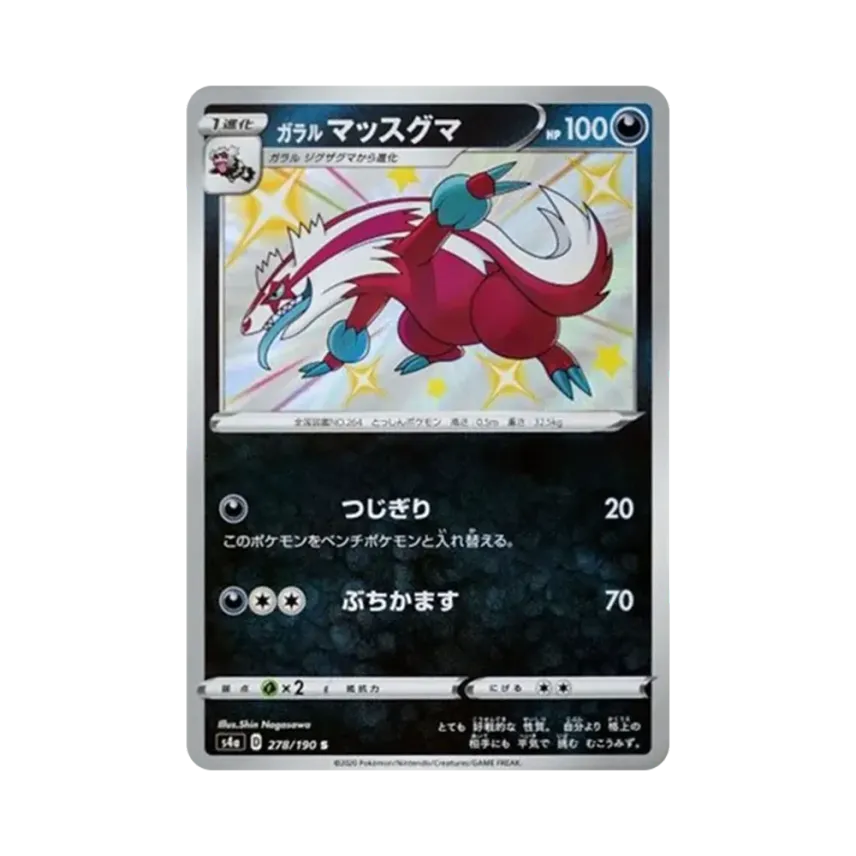 ガラル直衝熊