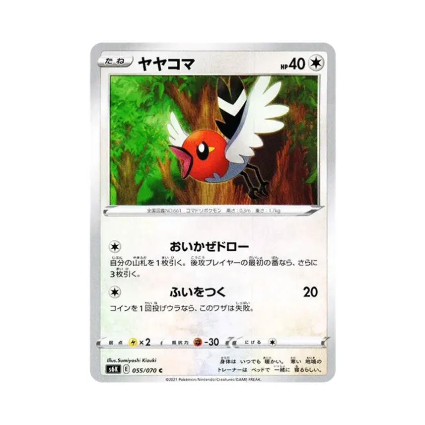 小箭雀