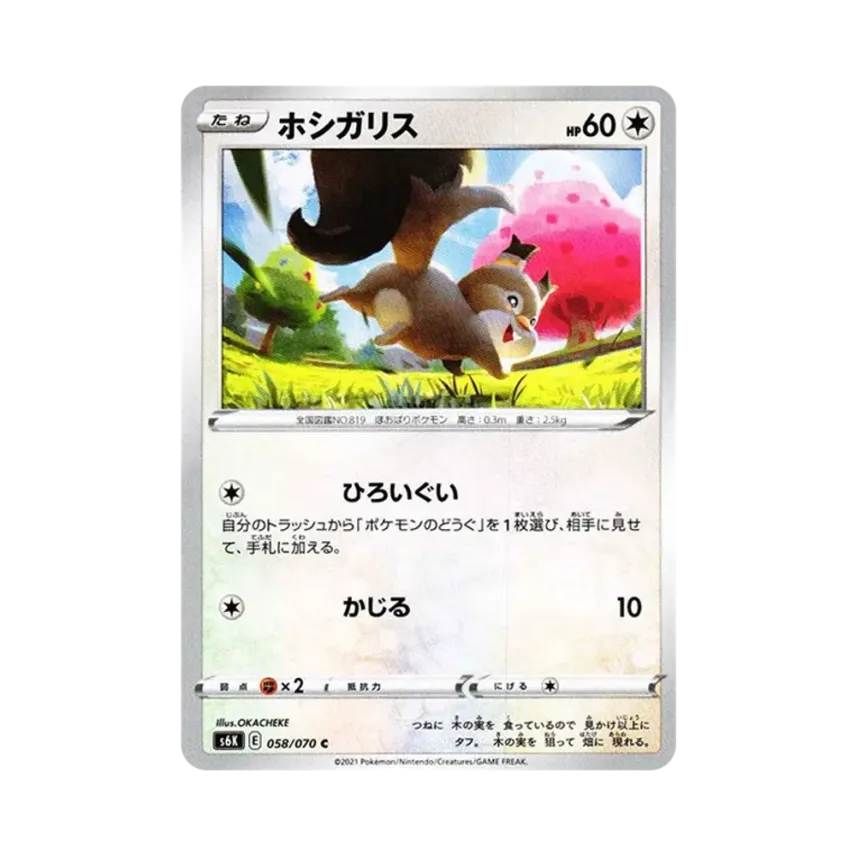 貪心栗鼠