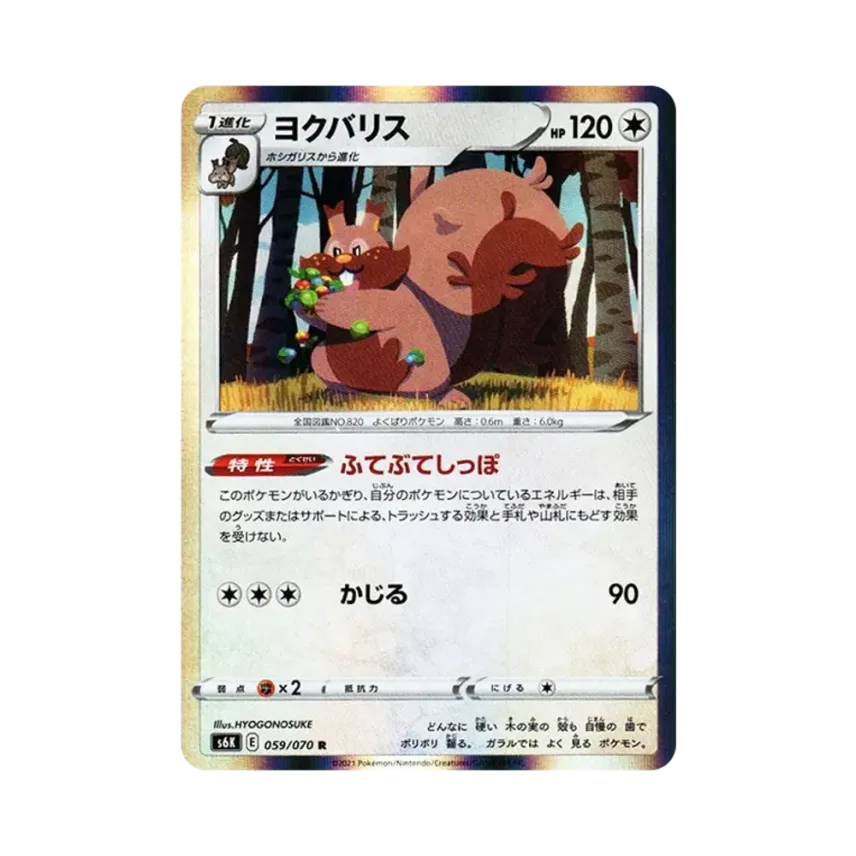 藏飽栗鼠
