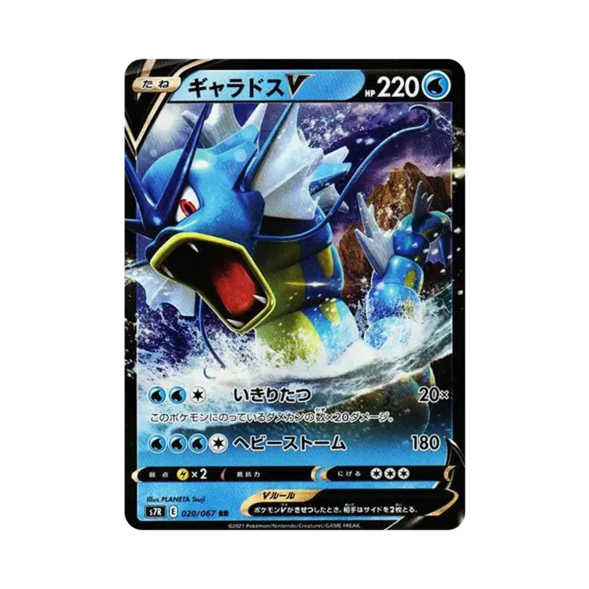 鯉魚龍V