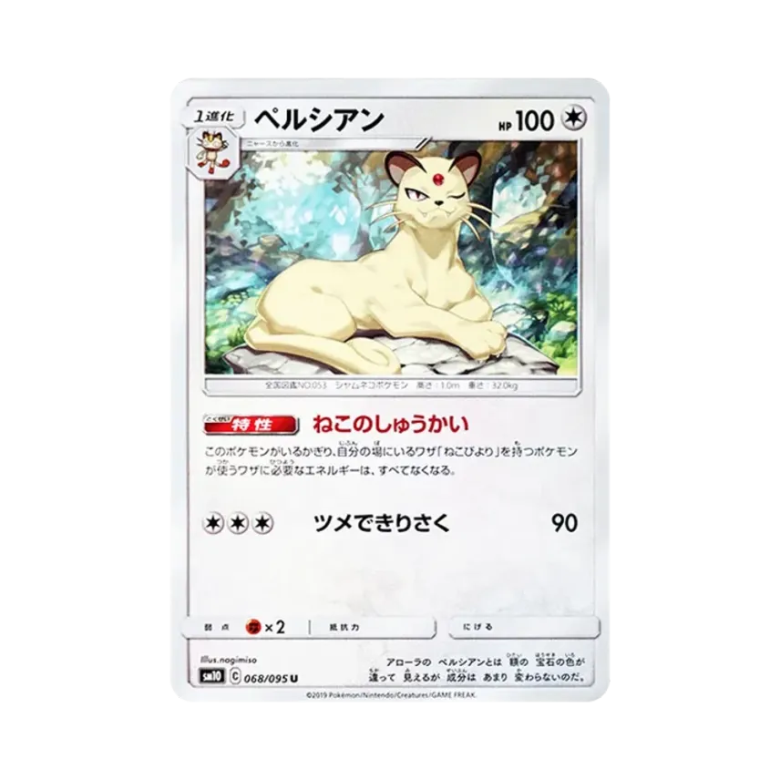 高竇貓