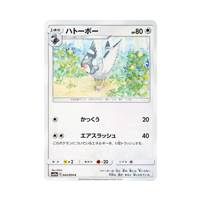 波波鴿