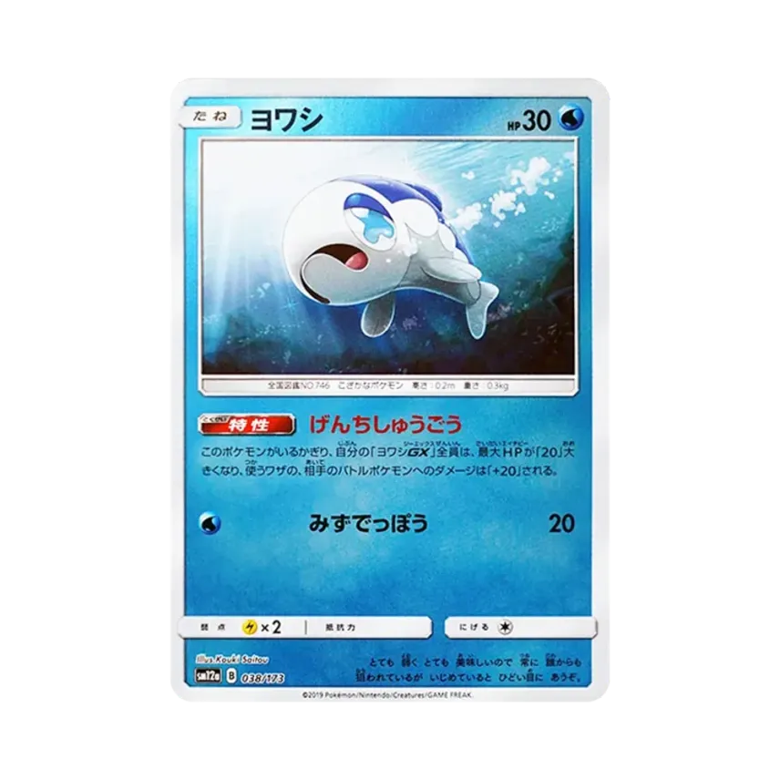 弱丁魚