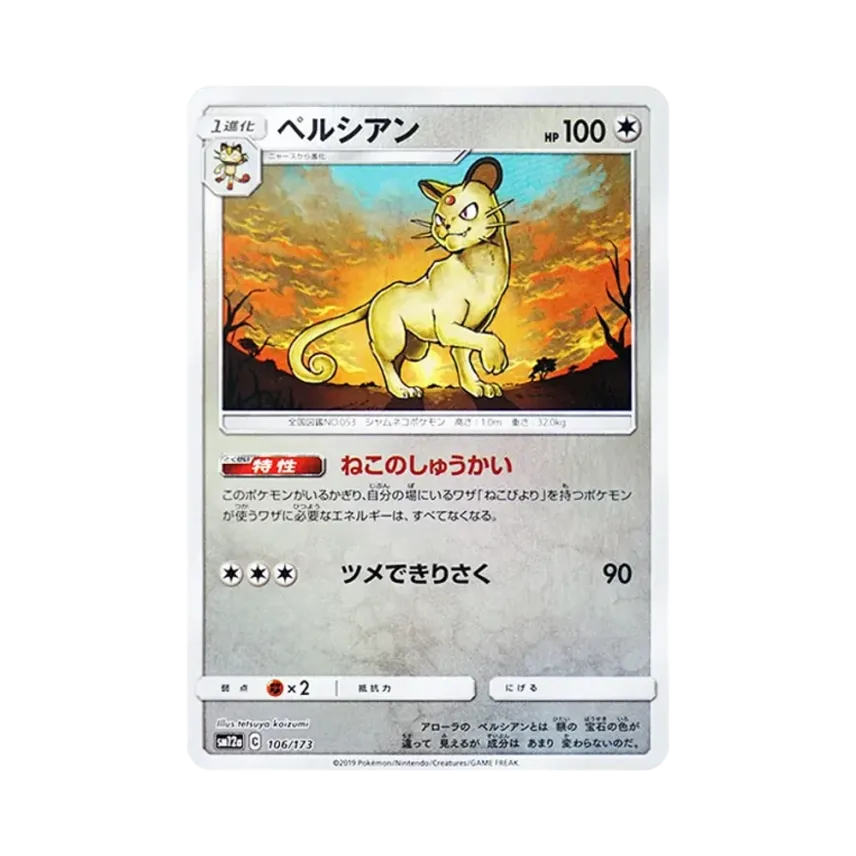 高竇貓