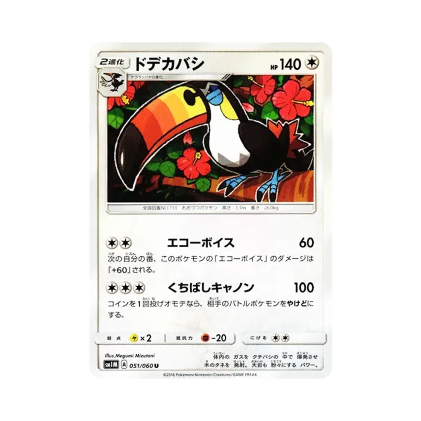 銃嘴大鳥