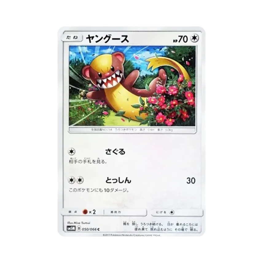 貓鼬少