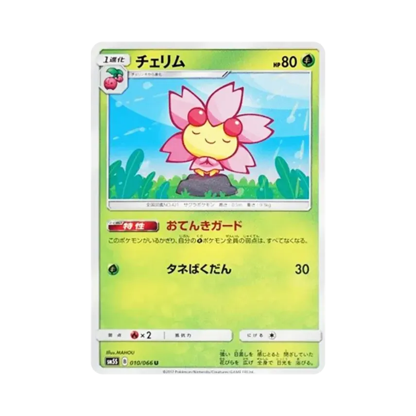 櫻花兒