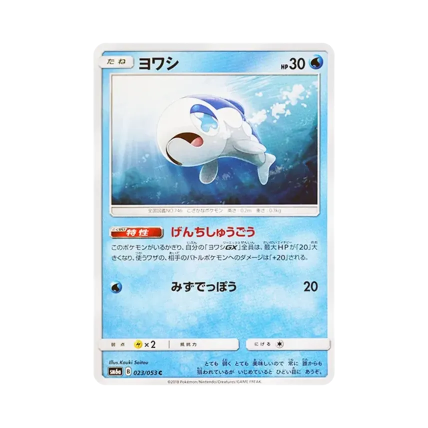 弱丁魚