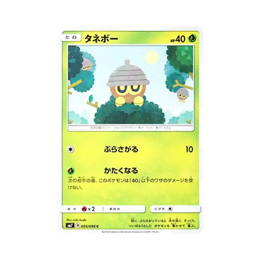 橡實果
