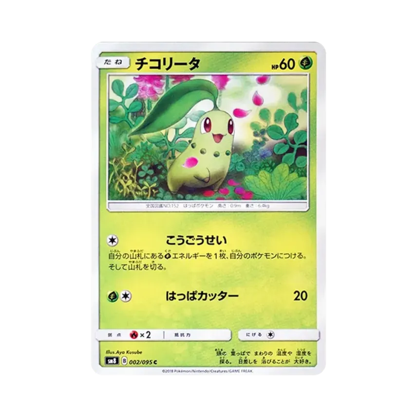菊草葉