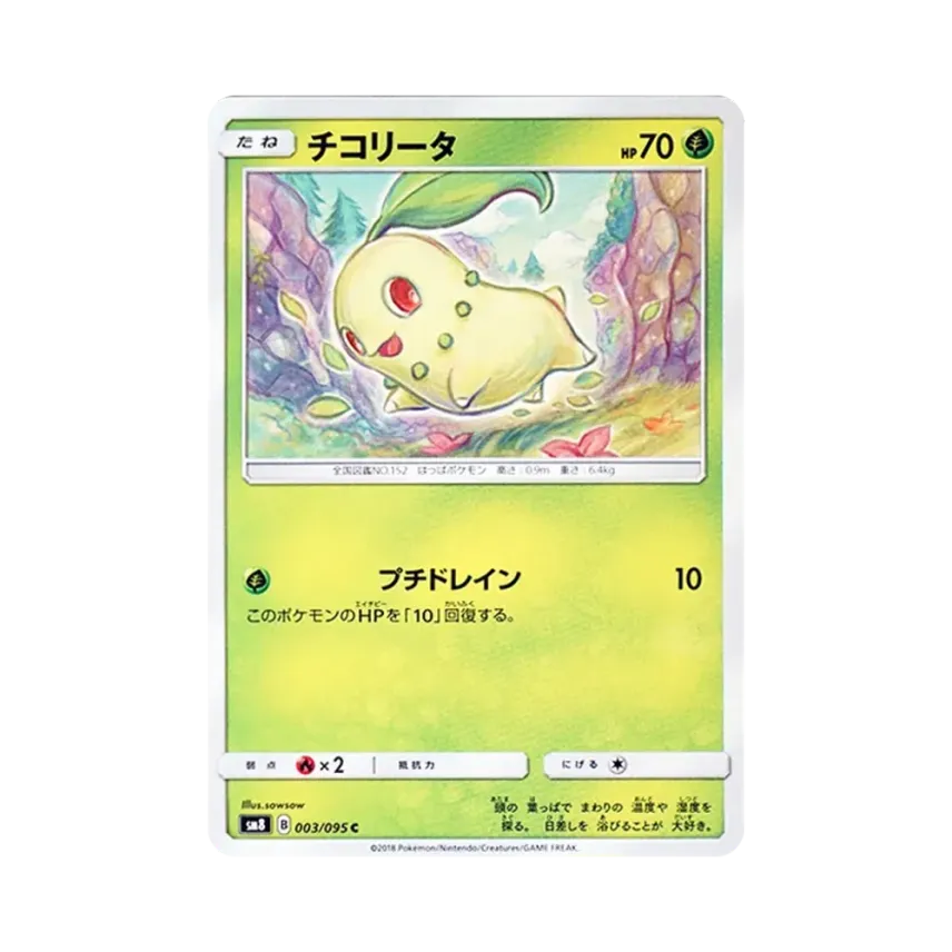 菊草葉