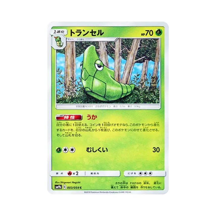 鐵甲蟲